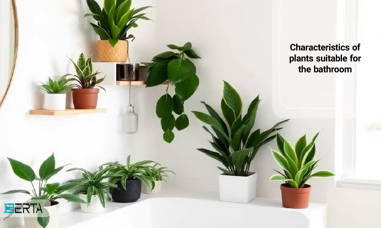 Characteristics of plants suitable for the bathroom